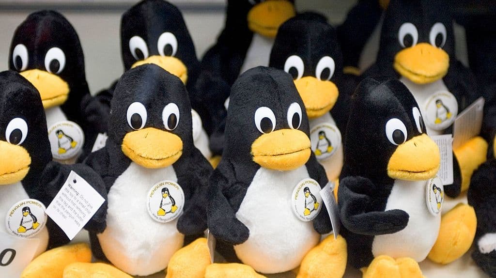 California considers Linux exemption from age-verification law