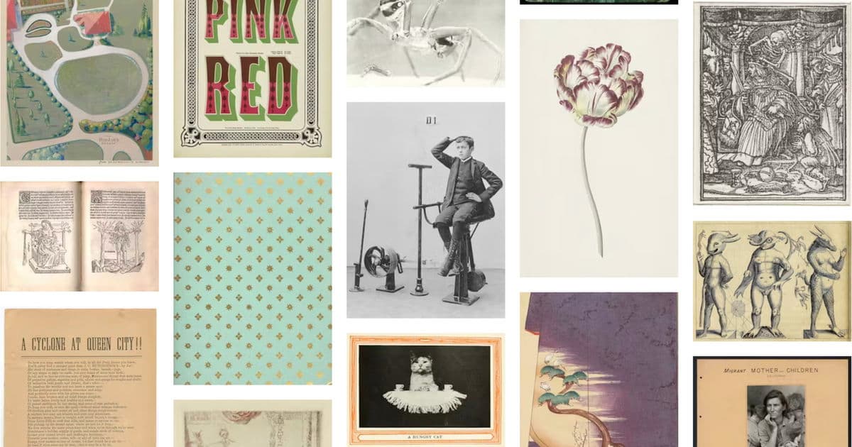 Public Domain Image Archive launches searchable collection for creators