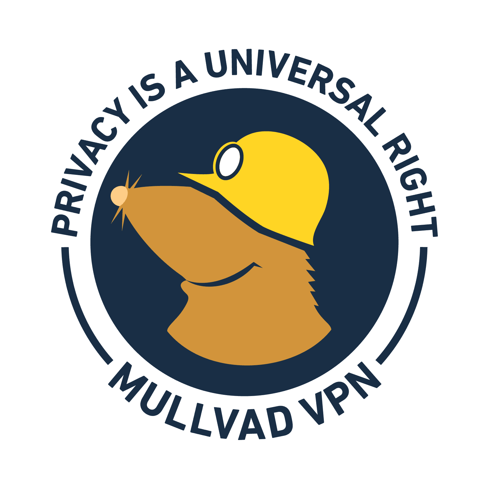 Mullvad patches VPN server vulnerability affecting exit IP addresses