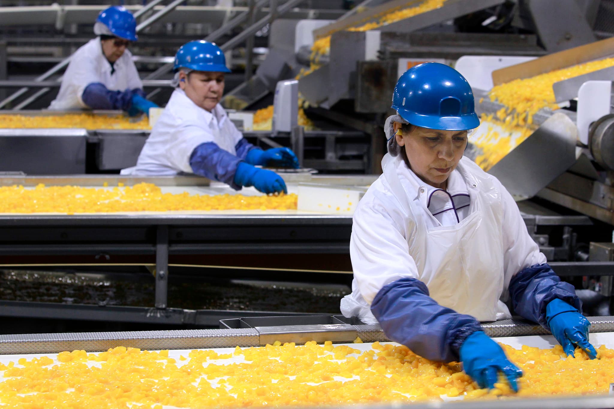 Del Monte bankruptcy triggers mass orchard destruction in California
