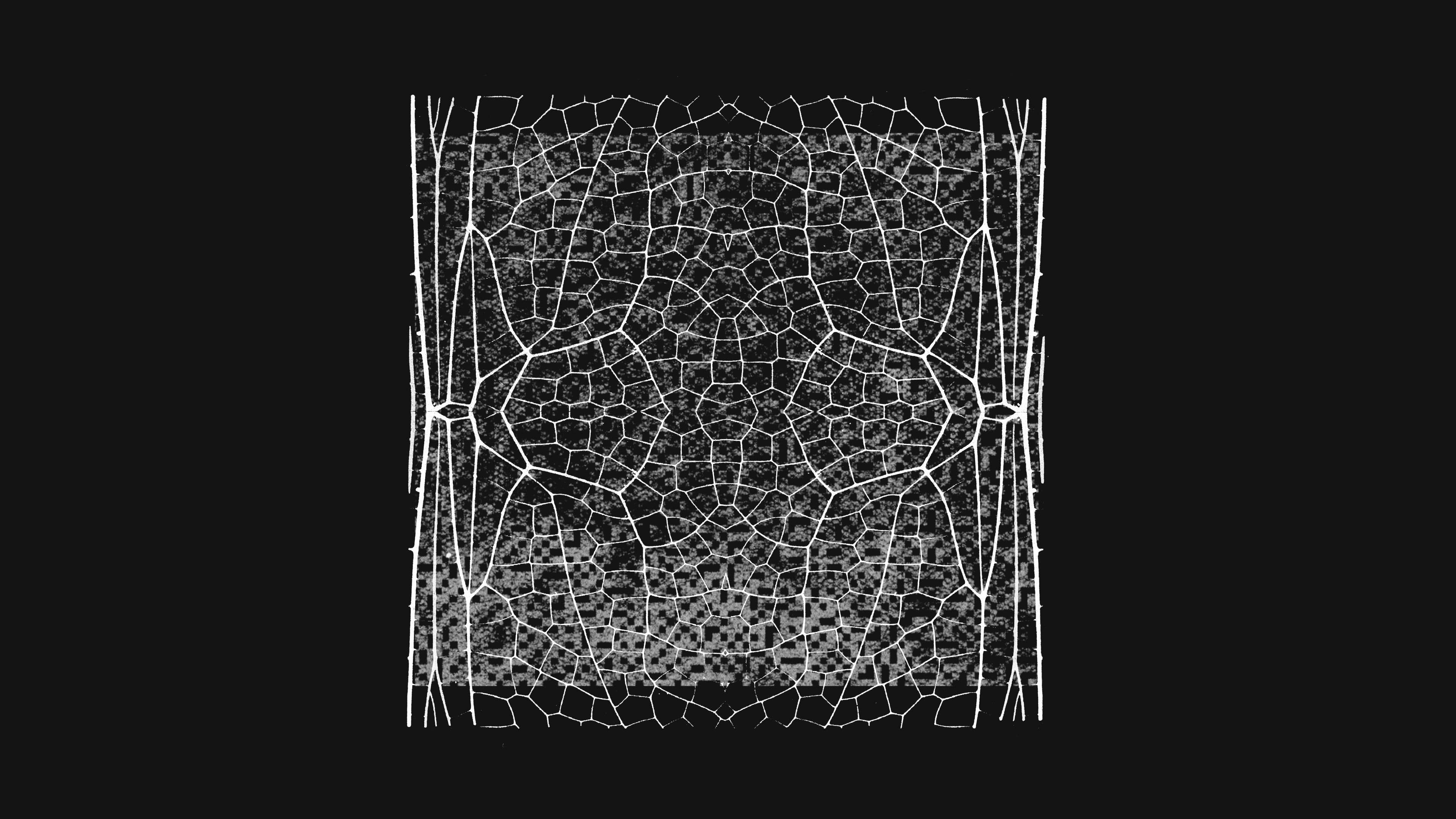 Anthropic expands Project Glasswing AI safety research