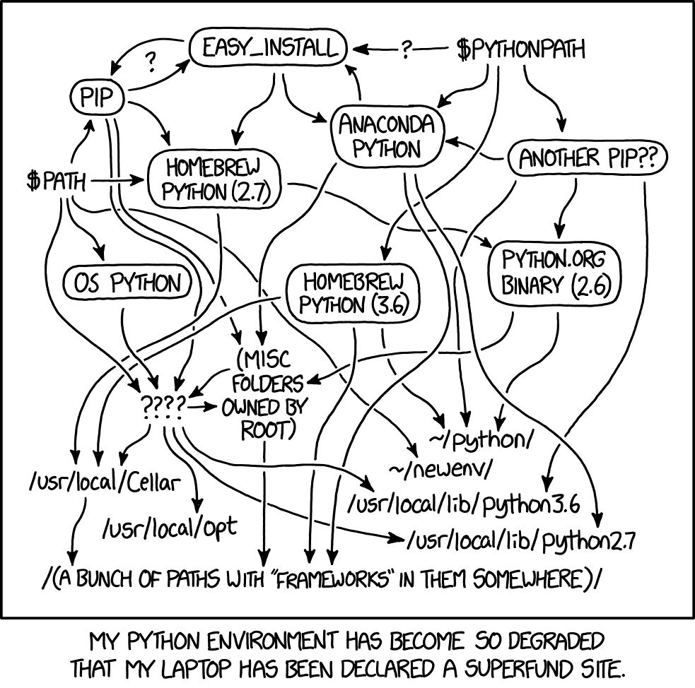 Boring languages pair better with LLMs than trendy ones