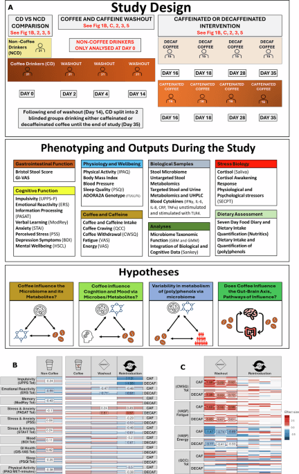 Coffee study reveals microbiome effects, but the maker angle remains unclear